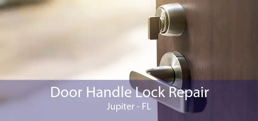 Door Handle Lock Repair Jupiter - FL