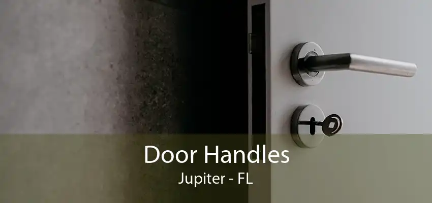 Door Handles Jupiter - FL