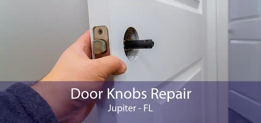 Door Knobs Repair Jupiter - FL