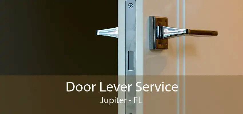 Door Lever Service Jupiter - FL