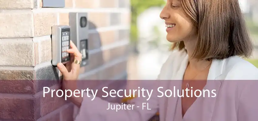 Property Security Solutions Jupiter - FL